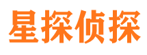 梅里斯侦探